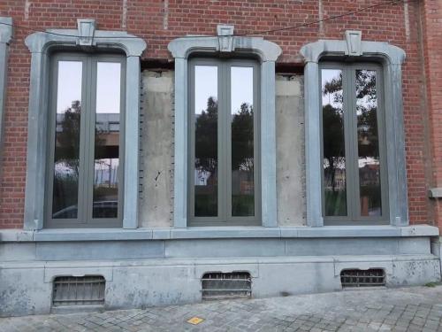 Facade-en-pierre-bleue